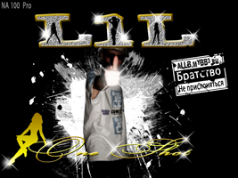 L1L